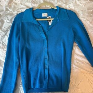 Aritzia Wilfred Bright Blue V-Neck Sweater